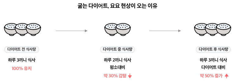 12-6-mz-img-03.png 굶는 다이어트, 요요 현상이 오는 이유