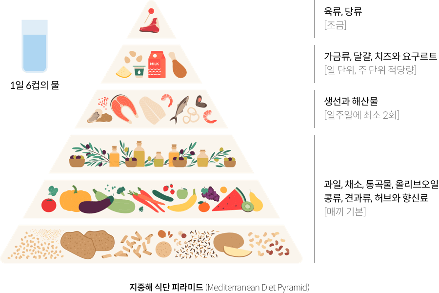 18_1_mz_img_04.png 지중해 식단 피라미드(Mediterranean Diet Pyramid) : 매일 기본 = {과일, 채소, 통곡물, 올리브오일, 콩류, 견과류, 허브와 향신료} / 일주일에 최소 2회 = {생선과 해산물} / 일 단위, 주 단위 적당량 = {가금류, 달걀, 치즈와 요구르트} / 조금 = {육류, 당류} / 1일 6컵의 물