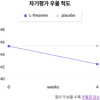 자기평가 우울 척도