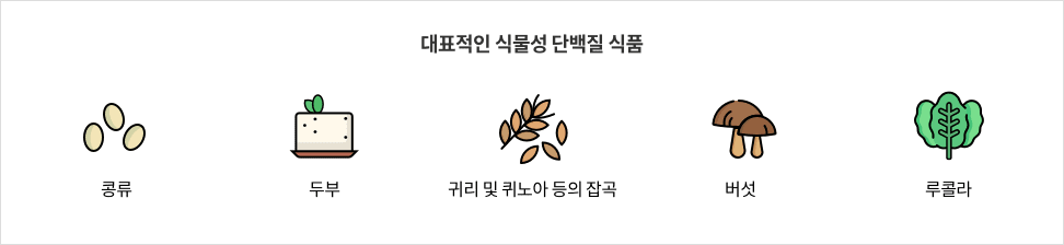 6-8-mz-img-04.png 대표적인 식물성 단백질 식품 - 콩류 / 두부 / 귀리 및 퀴노아 등의 잡곡 / 버섯 / 루콜라