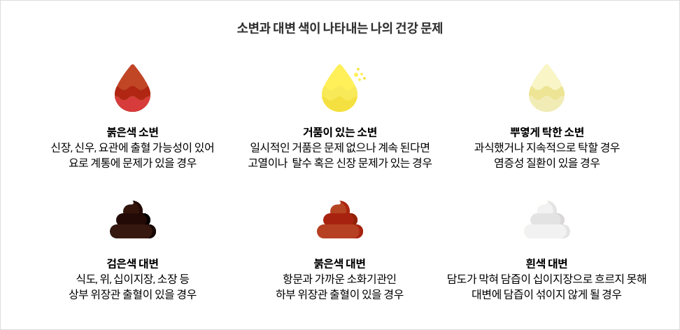 8-8-mz-img-04.png 소변과 대변 색이 나타내는 나의 건강 문제 - 붉은색 소변 : 신장, 신우, 요관에 출혈 가능성이 있어 요로 계통에 문제가 있을 경우 / 거품이 있는 소변 : 일시적인 거품은 문제 없으나 계속 된다면 고열이나 탈수 혹은 신장 문제가 있는 경우 / 뿌옇게 탁한 소변 : 과식했거나 지속적으로 탁할 경우 염증성 질환이 있을 경우 / 검은색 대변 : 식도, 위, 십이지장, 소장 등 상부 위장관 출혈이 있을 경우 / 붉은색 대변 : 항문과 가까운 소화기관인 하부 위장관 출혈이 있을 경우 / 흰색 대변 : 담도가 막혀 담즙이 십이지장으로 흐르지 못해 대변에 담즙이 섞이지 않게 될 경우