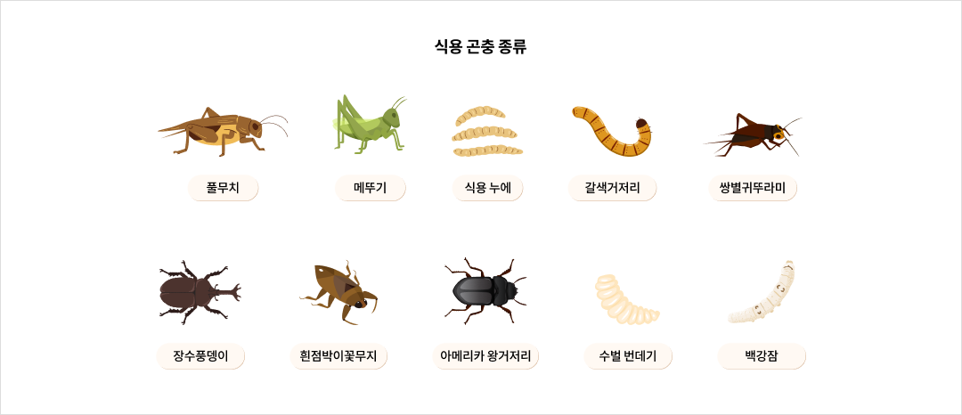 mgz_bug_img2_pc.png ABCDfff