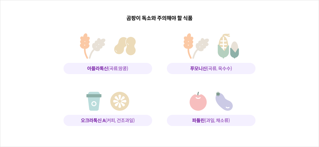 mgz_fungaltoxin_img1_pc.png 곰팡이독소와 주의해야 할 식품