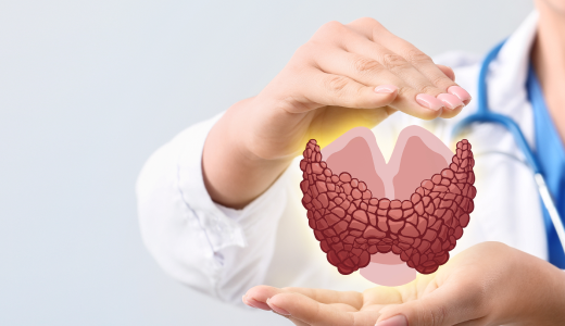 mgz_hypothyroidism_img1_pc.png 갑상선 관련 이미지