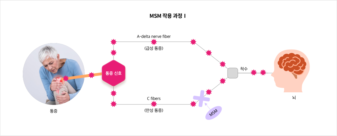 mgz_msm_img3_pc.png MSM 작용 과정Ⅰ