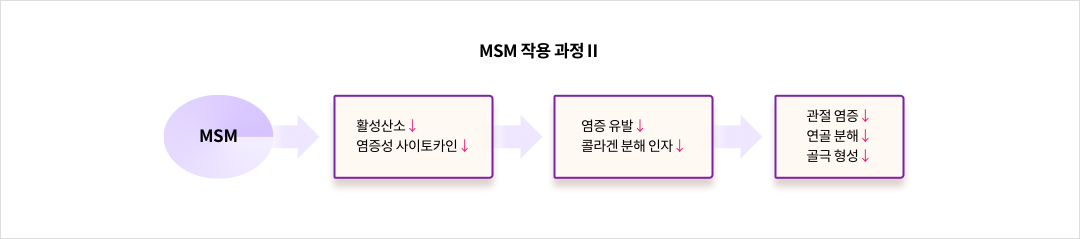 mgz_msm_img4_pc.png MSM 작용 과정Ⅱ