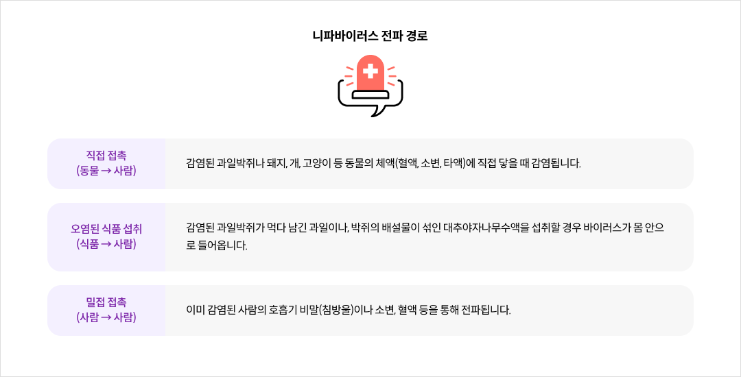 니파바이러스 전파 경로