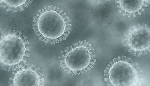 mgz_norovirus_img2_pc.png 노로바이러스 이미지