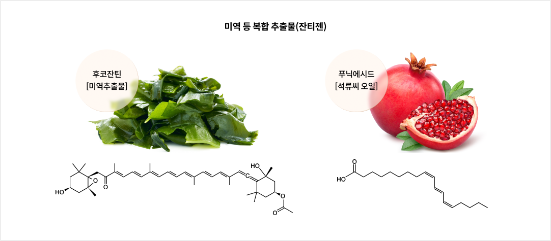 mgz_xanthigen_img1_pc.png 미역 등 복합 추출물(잔티젠)