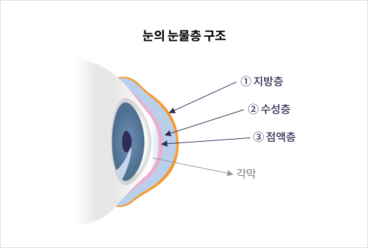 mgz_xerophthalmia_img2_pc.png 눈의 눈물층 구조